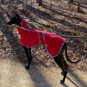 Meet your Posher, Rita